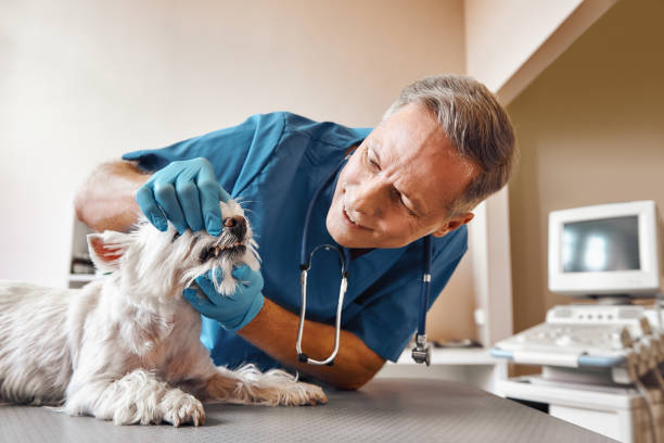 Best Broken Tooth Emergency  in Murrells Inlet, SC